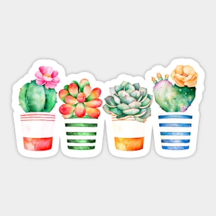 Succulents in pots Sticker